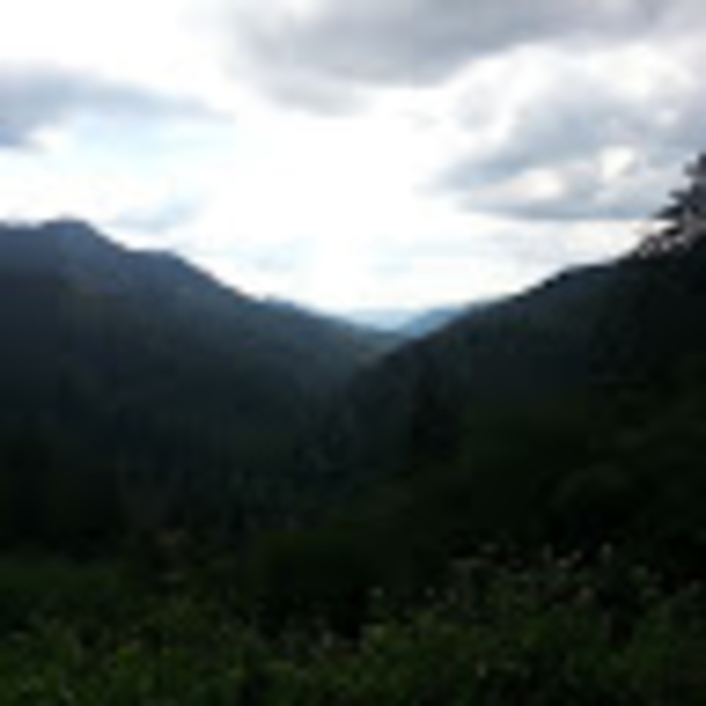 Meet your Posher, Black.